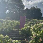 ヒメ日記 2025/08/24 14:39 投稿 高梨 MadameRest(マダムレスト)