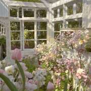 ヒメ日記 2025/09/18 14:50 投稿 高梨 MadameRest(マダムレスト)