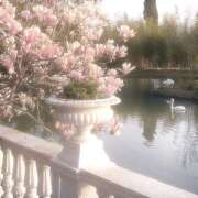 ヒメ日記 2025/11/08 15:41 投稿 高梨 MadameRest(マダムレスト)