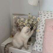 高梨 出勤しました☺︎ MadameRest(マダムレスト)