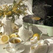 ヒメ日記 2025/12/15 14:23 投稿 高梨 MadameRest(マダムレスト)