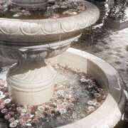 ヒメ日記 2026/02/09 14:08 投稿 高梨 MadameRest(マダムレスト)