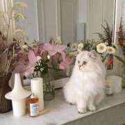 ヒメ日記 2026/03/16 19:43 投稿 高梨 MadameRest(マダムレスト)