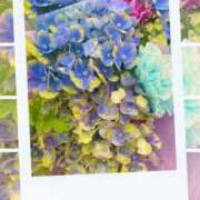 ヒメ日記 2025/08/05 11:55 投稿 蘭 池袋夢幻