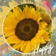 ヒメ日記 2025/08/06 10:45 投稿 蘭 池袋夢幻