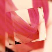 ヒメ日記 2025/11/14 15:45 投稿 蘭 池袋夢幻