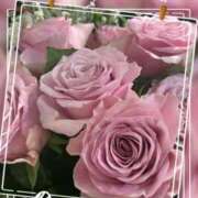 ヒメ日記 2025/11/19 13:05 投稿 蘭 池袋夢幻