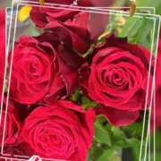 ヒメ日記 2025/12/26 15:35 投稿 蘭 池袋夢幻