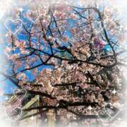 蘭 さくら！ 池袋夢幻