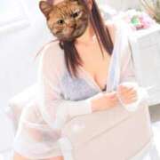 ヒメ日記 2025/08/11 08:43 投稿 ゆかり 池袋角海老