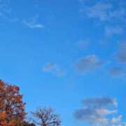 ヒメ日記 2024/12/20 12:04 投稿 りりか ぽちゃ巨乳専門　新大久保・新宿歌舞伎町ちゃんこ