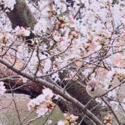 ヒメ日記 2025/04/03 19:02 投稿 りりか ぽちゃ巨乳専門　新大久保・新宿歌舞伎町ちゃんこ