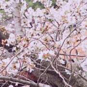 ヒメ日記 2025/04/04 18:09 投稿 りりか ぽちゃ巨乳専門　新大久保・新宿歌舞伎町ちゃんこ