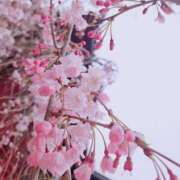 ヒメ日記 2025/04/06 10:05 投稿 りりか ぽちゃ巨乳専門　新大久保・新宿歌舞伎町ちゃんこ