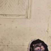 ヒメ日記 2025/06/02 15:15 投稿 りりか ぽちゃ巨乳専門　新大久保・新宿歌舞伎町ちゃんこ