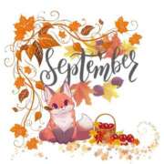 ヒメ日記 2025/09/14 16:54 投稿 りりか ぽちゃ巨乳専門　新大久保・新宿歌舞伎町ちゃんこ