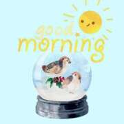 ヒメ日記 2025/11/21 10:30 投稿 りりか ぽちゃ巨乳専門　新大久保・新宿歌舞伎町ちゃんこ