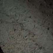 ヒメ日記 2025/03/05 08:59 投稿 あんり 脱がされたい人妻 町田・相模原店