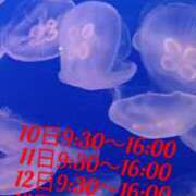 ヒメ日記 2025/03/09 19:22 投稿 あんり 脱がされたい人妻 町田・相模原店