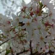 ヒメ日記 2025/03/21 08:59 投稿 あんり 脱がされたい人妻 町田・相模原店