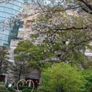 ヒメ日記 2025/03/24 08:56 投稿 あんり 脱がされたい人妻 町田・相模原店