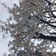 ヒメ日記 2025/03/30 10:04 投稿 あんり 脱がされたい人妻 町田・相模原店