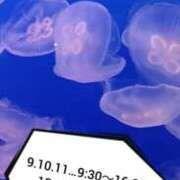 ヒメ日記 2025/06/08 14:45 投稿 あんり 脱がされたい人妻 町田・相模原店