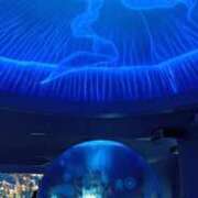 ヒメ日記 2025/06/25 08:30 投稿 あんり 脱がされたい人妻 町田・相模原店