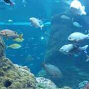 ヒメ日記 2025/07/22 08:27 投稿 あんり 脱がされたい人妻 町田・相模原店