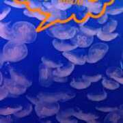 ヒメ日記 2025/08/03 19:30 投稿 あんり 脱がされたい人妻 町田・相模原店