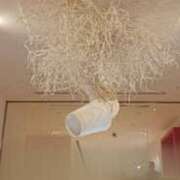 ヒメ日記 2025/08/15 08:37 投稿 あんり 脱がされたい人妻 町田・相模原店