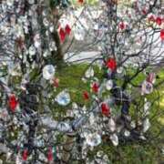 ヒメ日記 2025/09/08 08:26 投稿 あんり 脱がされたい人妻 町田・相模原店