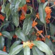 ヒメ日記 2025/11/03 08:58 投稿 あんり 脱がされたい人妻 町田・相模原店