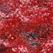 ヒメ日記 2025/11/25 08:20 投稿 あんり 脱がされたい人妻 町田・相模原店