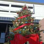 ヒメ日記 2025/12/18 09:04 投稿 あんり 脱がされたい人妻 町田・相模原店