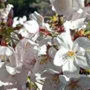 ヒメ日記 2026/04/03 08:32 投稿 あんり 脱がされたい人妻 町田・相模原店