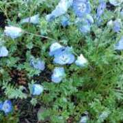 ヒメ日記 2026/04/05 22:45 投稿 あんり 脱がされたい人妻 町田・相模原店