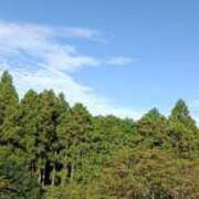 ヒメ日記 2026/04/19 22:15 投稿 あんり 脱がされたい人妻 町田・相模原店