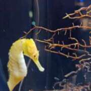 あんり 向かってます 脱がされたい人妻 町田・相模原店