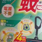 ヒメ日記 2026/08/28 08:28 投稿 あんり 脱がされたい人妻 町田・相模原店