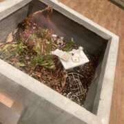 ヒメ日記 2025/04/16 15:01 投稿 りあ 激安ドットコム