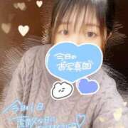 ヒメ日記 2024/12/15 20:47 投稿 めりあ spicyな女たち