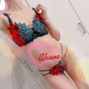 ヒメ日記 2025/12/08 09:09 投稿 あかね☆超本格派美人 奥さま日記（今治店）