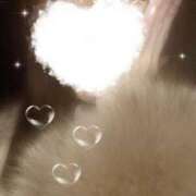 ヒメ日記 2025/01/17 01:15 投稿 白鳥　ここな NADIA東京新橋店