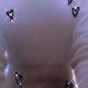 ヒメ日記 2025/01/24 03:14 投稿 白鳥　ここな NADIA東京新橋店