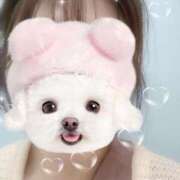 ヒメ日記 2025/04/22 00:55 投稿 白鳥　ここな NADIA東京新橋店