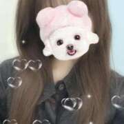 ヒメ日記 2025/04/23 01:34 投稿 白鳥　ここな NADIA東京新橋店