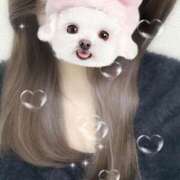 ヒメ日記 2025/04/24 23:19 投稿 白鳥　ここな NADIA東京新橋店