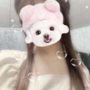 ヒメ日記 2025/06/08 03:44 投稿 白鳥　ここな NADIA東京新橋店