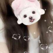 ヒメ日記 2025/06/26 03:06 投稿 白鳥　ここな NADIA東京新橋店